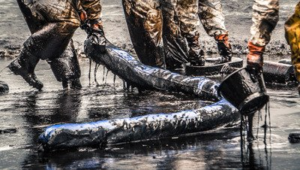 BP Oil Spill Class Action Lawsuit