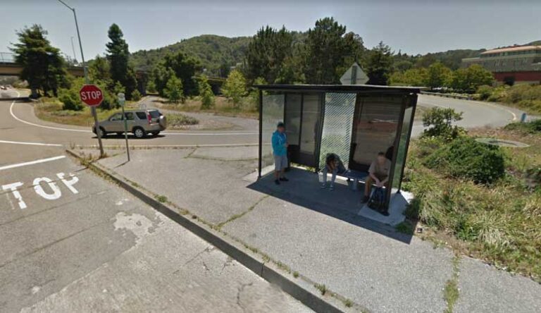 Paradise Drive Bus Pad