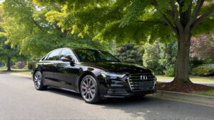 Black car parked under green trees