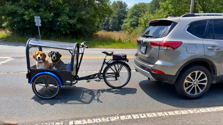 Juris digital a bicycle with a shopping cart as a trailer with two dogs and a 8d7d2a41 cb9b 4309 9a4a 10d199f8918c