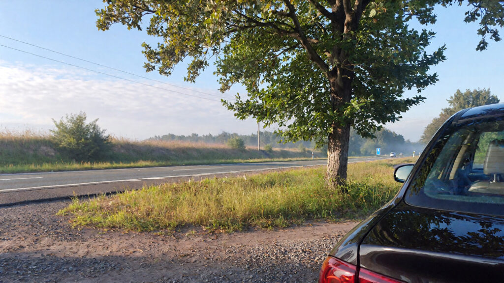 Samantha parian a car near a tree on the highway in the morning 23affceb c453 440d 86c4 d4152fb6afba